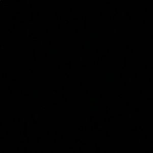 Meet your Posher, Dawson